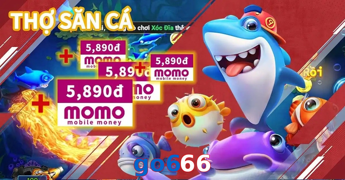 go666